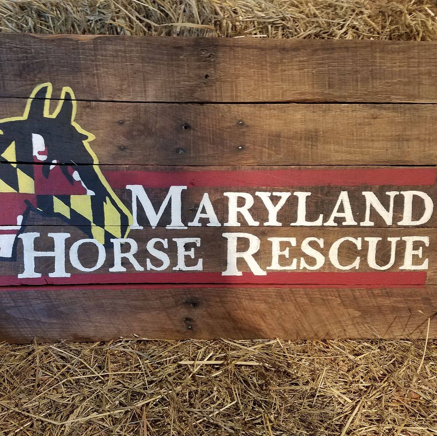 Maryland Horse Rescue